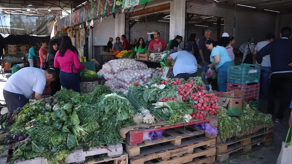 VENTAS AGROPECUARIO (7)